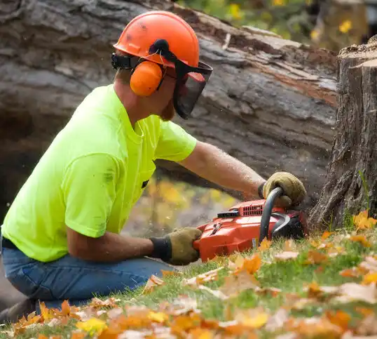 tree services Weatherby Lake